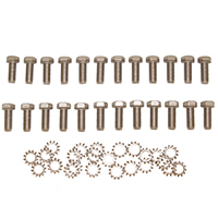 55-59 Door Hinge Bolt Kit, Stainless Steel