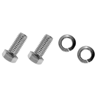 54-59 Stepside Tailgate Trunnion Bolts, Stainless Steel