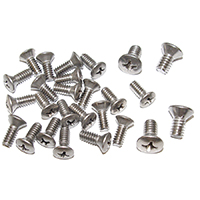 55 2nd Series Early Interior Door Panel Screws, Stainless Steel