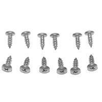 55-59 Lower Door Seal Reatiner Screw Kit, 12 Pieces