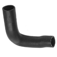 55-59 Chevrolet V8 Lower Radiator Hose