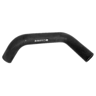 Lower Hose