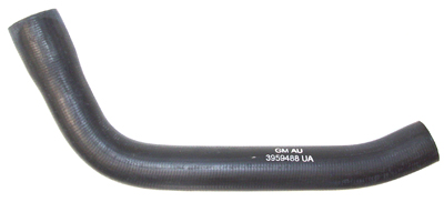 Lower Hose
