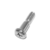 Universal Chrome Lens Screw, 8-32 with .302