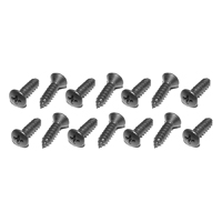 60-61 Park Light Bezel Screws, 14 Pieces