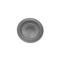 Universal Plastic Hole Plug, 7/8