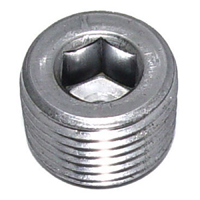 Plug, Inatke/Water Pump, 1/2