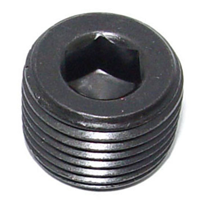 Plug, Intake/Water Pump, 1/2