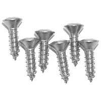 63 Headlight Bezel Screw Kit, Stainless Steel, 6 pcs.