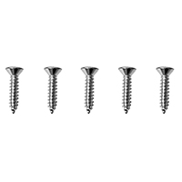 64-66 Dash Bezel Screw Kit, Chrome 5 Screws