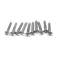 73-80 Headlight Bezel Screw Kit, 10 Pcs
