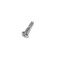 5/8 Lens Screw, Chrome