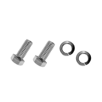 54-87 Stepside Stainless Tailgate Trunion Bolts