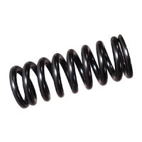 88-98 Door Hinge Spring