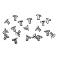 Grill Rivet Kit, Original Style, 19 Pieces, Silver
