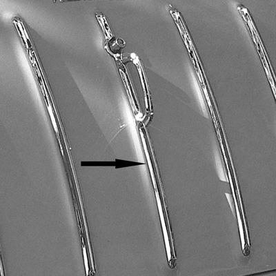 55-57 Chevrolet Nomad Tailgate Center Bar Molding w/o Handle  Chrome, Each