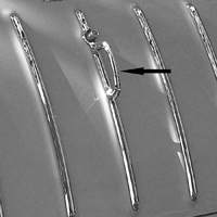 55-57 Chevrolet Nomad Tailgate Center Bar Molding Handle  Chrome, Each