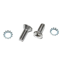 55-58 Chevrolet Full Size Convertible Top Handle Screws, Pair, Stainless Steel