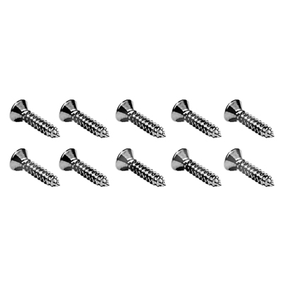 55-57 Chevrolet (10) Door Sill Plate Screws Set