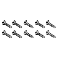 55-57 Chevrolet (10) Door Sill Plate Screws Set