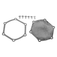 55-68 Chevrolet 265-327 V8 Small Block Car Water Pump Backing Plate & Gasket Set