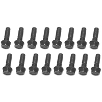 Chevrolet Big Block Car with Cast Iron Intake - Intake Manifold Bolt Kit