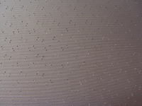 70 Chevrolet Fullsize Impala 2 Dr Hardtop Headliner, Black Perforated Vinyl