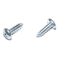 67-69 Camaro Dome Light Base Screw Kit 2 Pieces