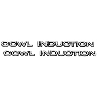 67-69 Camaro Cowl Induction Hood Emblem