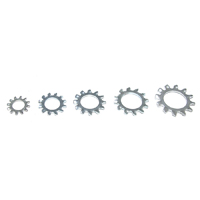 67-81 Camaro External Tooth Lock Washer 1/4 ID