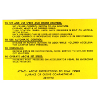 67-69 Cruise Control Decal