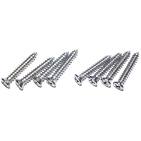 69 Camaro Headrest Escutcheon Screw Kit
