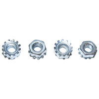 69 Camaro & 70-73 Camaro RS Parking Light Assembly Retaining Nuts